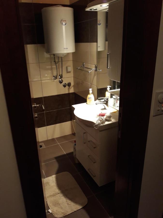Apartment Hedonic Vrnjačka Banja Стая снимка